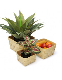 Juego de Cestas polietileno... 2