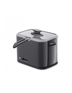 Fritteuse Flama 620FL 1 L...