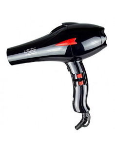 Fön Design Professional Id...