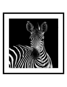 Bild Kristall (2 x 50 x 50...