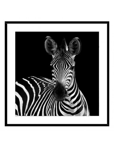 Bild Kristall (2 x 50 x 50 cm) Zebra