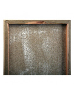 Cuadro Lienzo (2 x 56 x 46 cm) 2