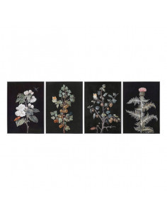 Bild Plantas (4 pcs)