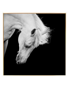 Bild Horse BW (100 x 2,5 x...