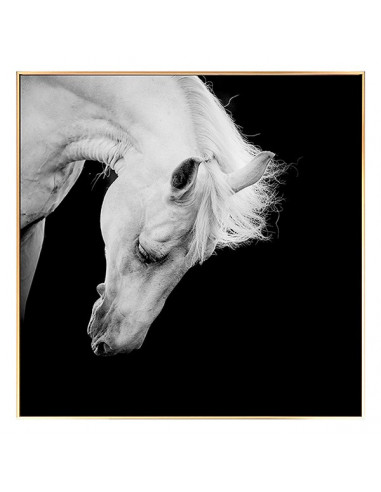 Cuadro Horse BW (100 x 2,5 x 100 cm)
