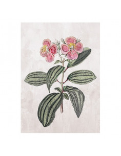 Cuadro Flower (105 x 75 x 4...