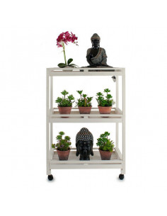 Estantería Madera (36 x 104... 2