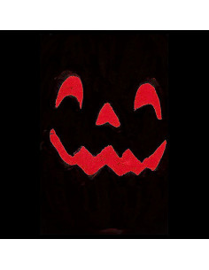 Calabaza Halloween Naranja... 2