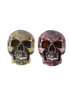 Calavera (20 x 15 cm) Luz