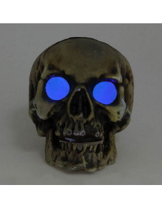 Calavera (20 x 15 cm) Luz 2