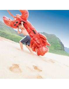 Colchoneta Hinchable...