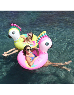 Flotador Hinchable (101 x...