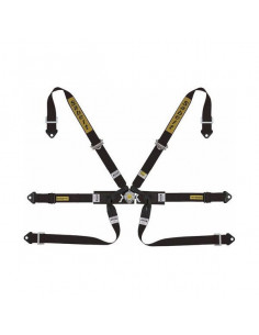 6-Punkt-Gurt Sabelt 2