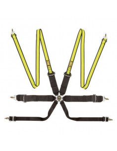 Arnés de 6 Puntos de...