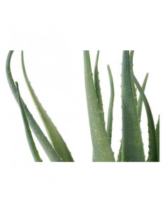 Planta Decorativa DKD Home... 2