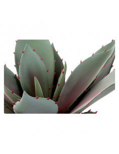 Planta Decorativa DKD Home...