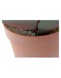 Planta Decorativa DKD Home... 2