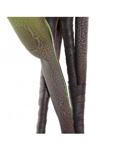 Dekorative Blume DKD Home... 2