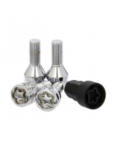 Tornillos Antirrobo BC... 2