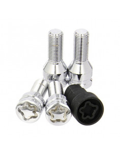 Tornillos Antirrobo BC... 2