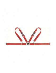 4-Punkt-Gurt Racing 2