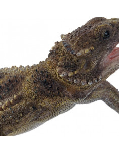 Figura Decorativa DKD Home... 2