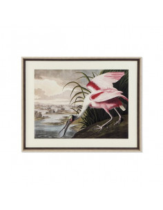 Bild DKD Home Decor Fugl...