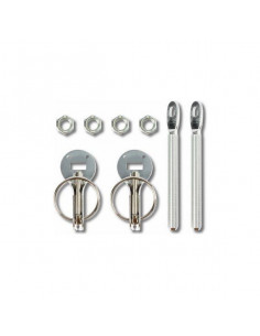 Cierre de capó Plateado Muelle 2