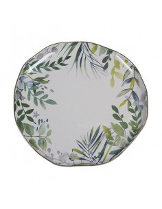 Plato Llano Amazonia...