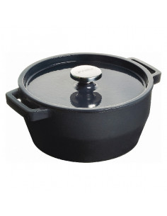 Cacerola Pyrex Hierro...