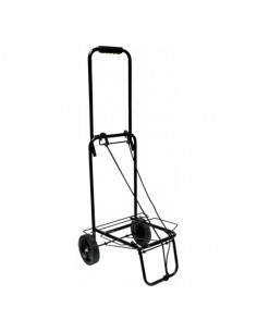 Mehrzweck-Strandwagen