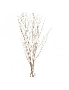 Planta Decorativa LED...