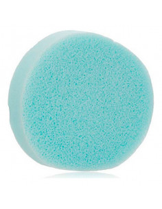 Schwamm Profesional türkis...