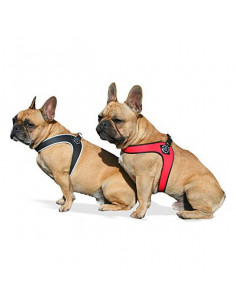 Umschnallset für Beginner...