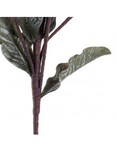 Flor Decorativa DKD Home... 2