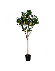 Árbol DKD Home Decor...