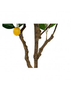 Árbol DKD Home Decor... 2