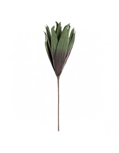 Planta Decorativa DKD Home Decor EVA...