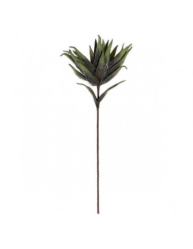 Planta Decorativa DKD Home Decor EVA...