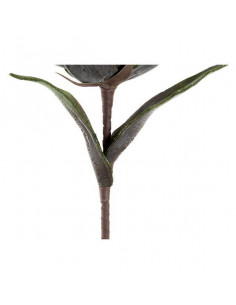 Planta Decorativa DKD Home... 2