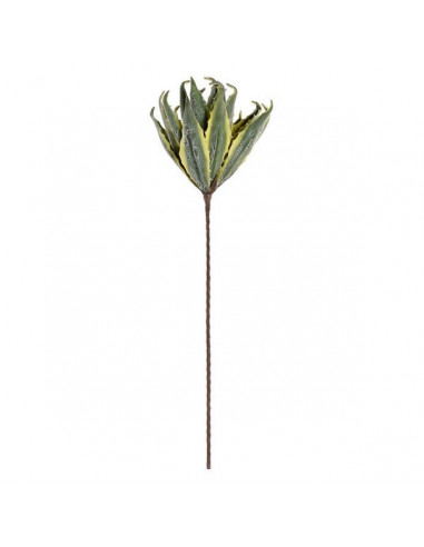 Planta Decorativa DKD Home Decor Aloe...