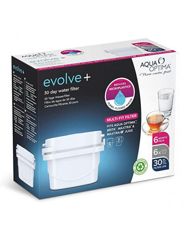 Wasserfilter Evolve (6 uds)