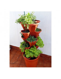 Kit de Cultivo Hidropónico...