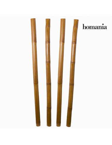 Juego de 4 cañas de bambú by Homania