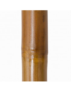 Juego de 4 cañas de bambú... 2