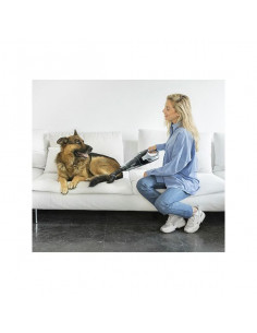 Aspirador de Mano Cecotec... 2