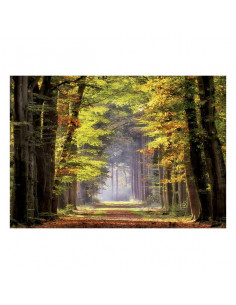 Puzzle Paseo Otoñal Educa... 2