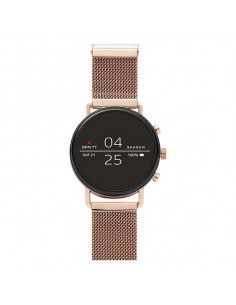 Reloj Mujer Skagen (Ø 40 mm)