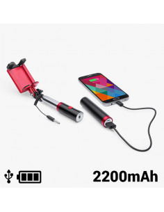 Palo Selfie con Power Bank...