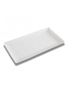 Fuente Porcelana (18 x 2,5...